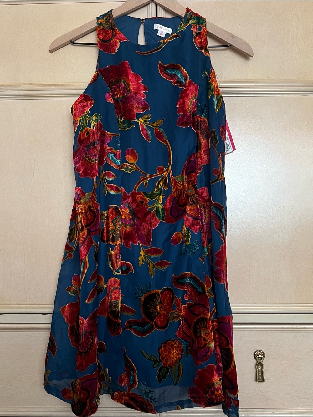 Xhilaration Teal Floral Velvet-Print Mini Dress